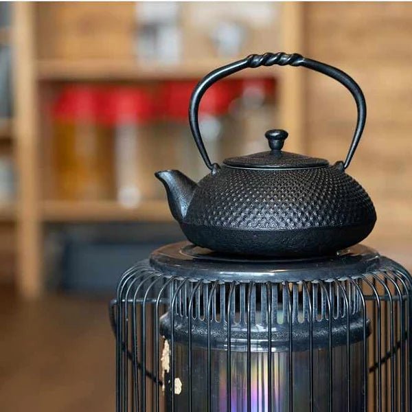 Nambu Ironware Cast Iron Tea Kettle 17oz - Vetted