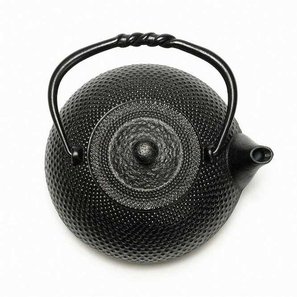 Nambu Ironware Cast Iron Tea Kettle 17oz - Vetted