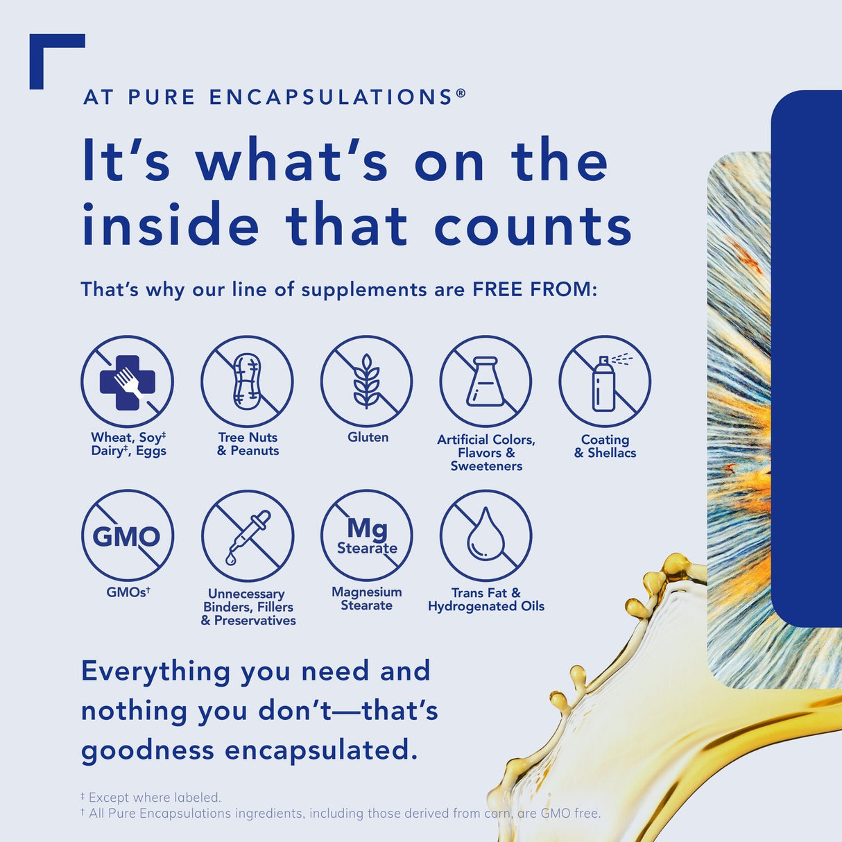 O.N.E Multivitamin by Pure Encapsulations - My Store